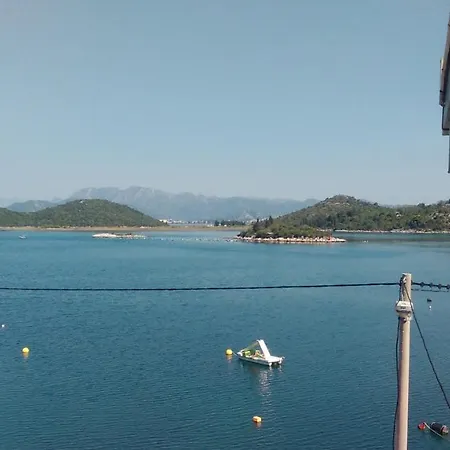 Vodanovic 아파트 블라체