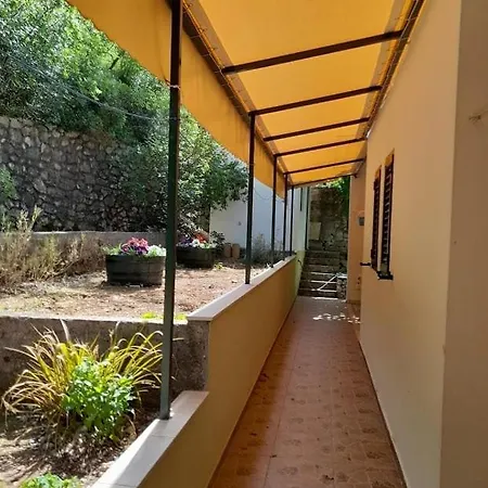 Apartment Vodanovic *