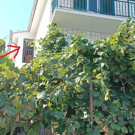 Vodanovic Apartment *