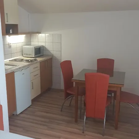 Apartment Vodanovic *
