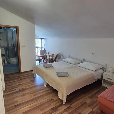Apartment Vodanovic *